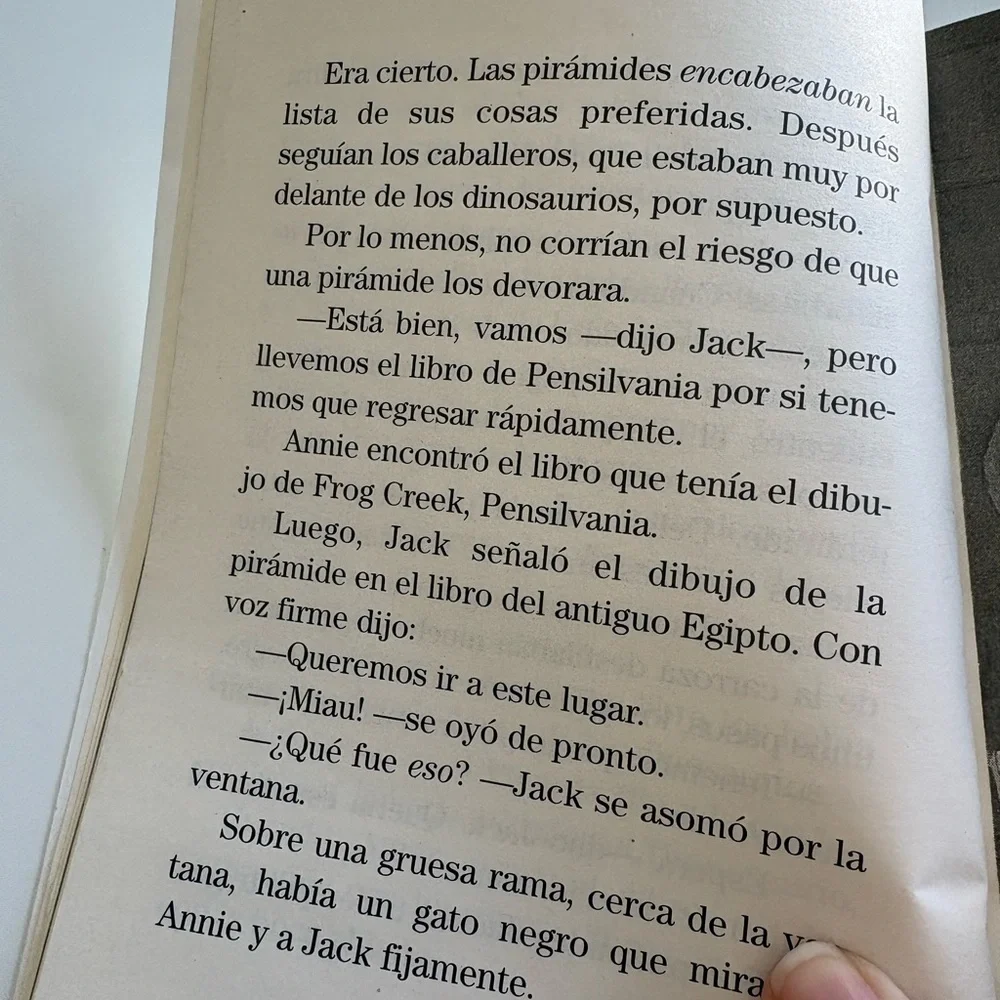 Una Momia al Amanecer Book